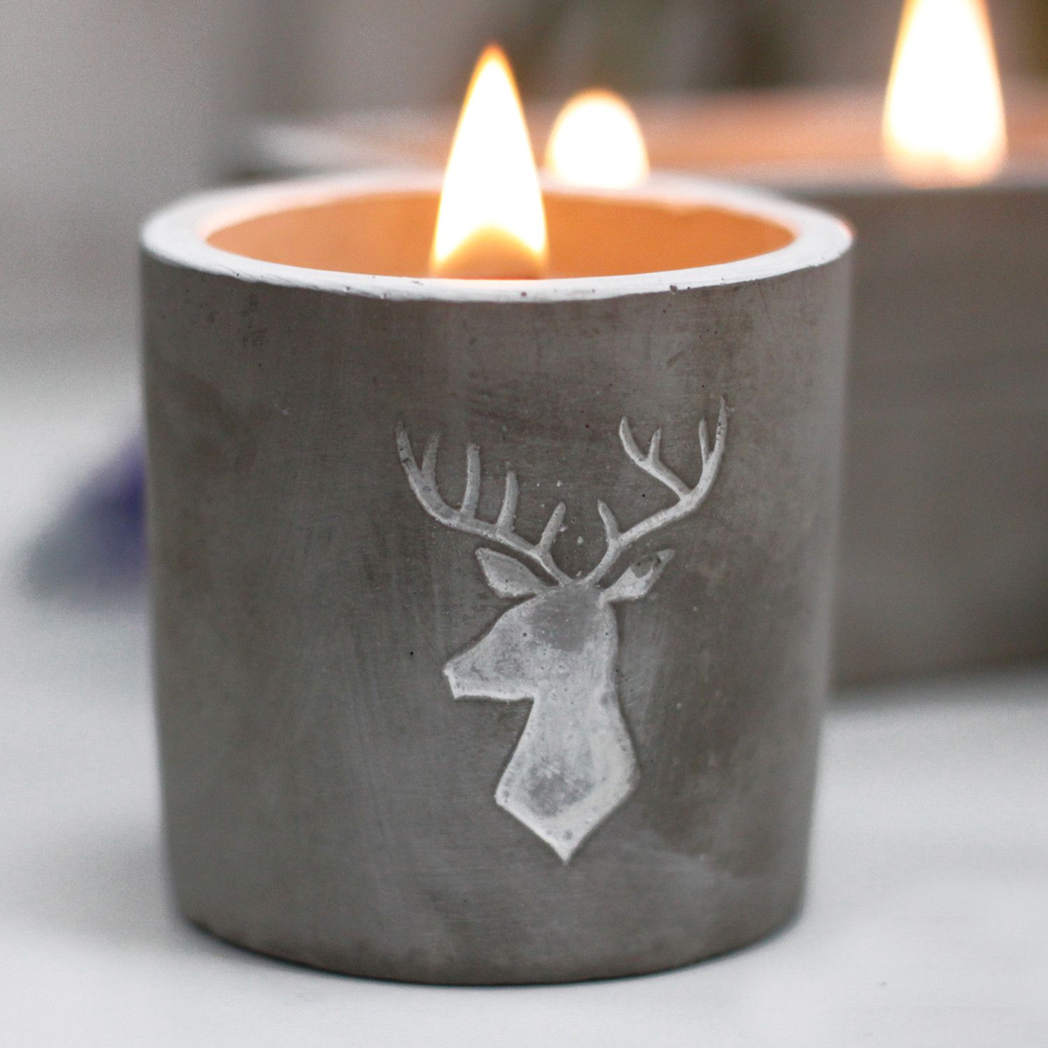 Med Concrete Soy Candle - Stag Head - Whiskey & Woodsmoke - Image 5